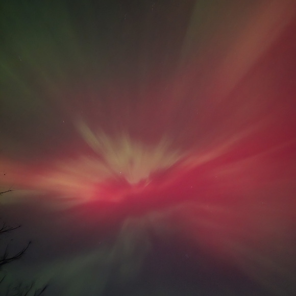 Meet your Posher, Shone - Picture 1 of 4